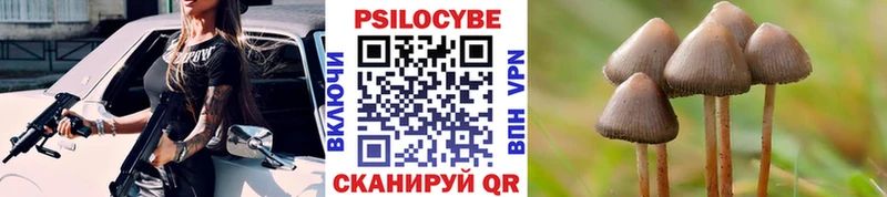 Галлюциногенные грибы Psilocybine cubensis  Томилино 